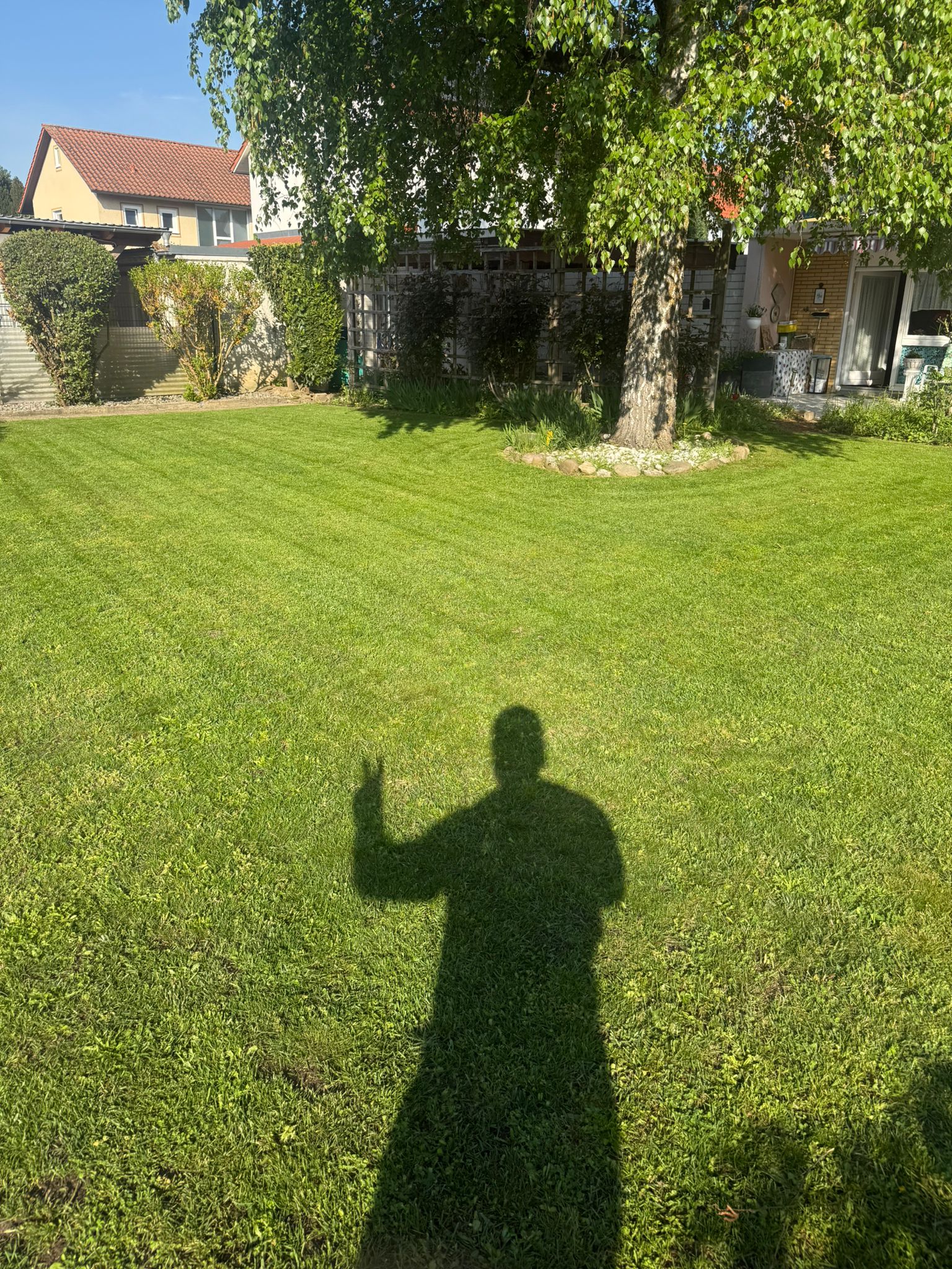 Gepflegter Garten mit altem Birkenbestand, Rasenfläche und Beeteinfassung – umgesetzt von HN Green