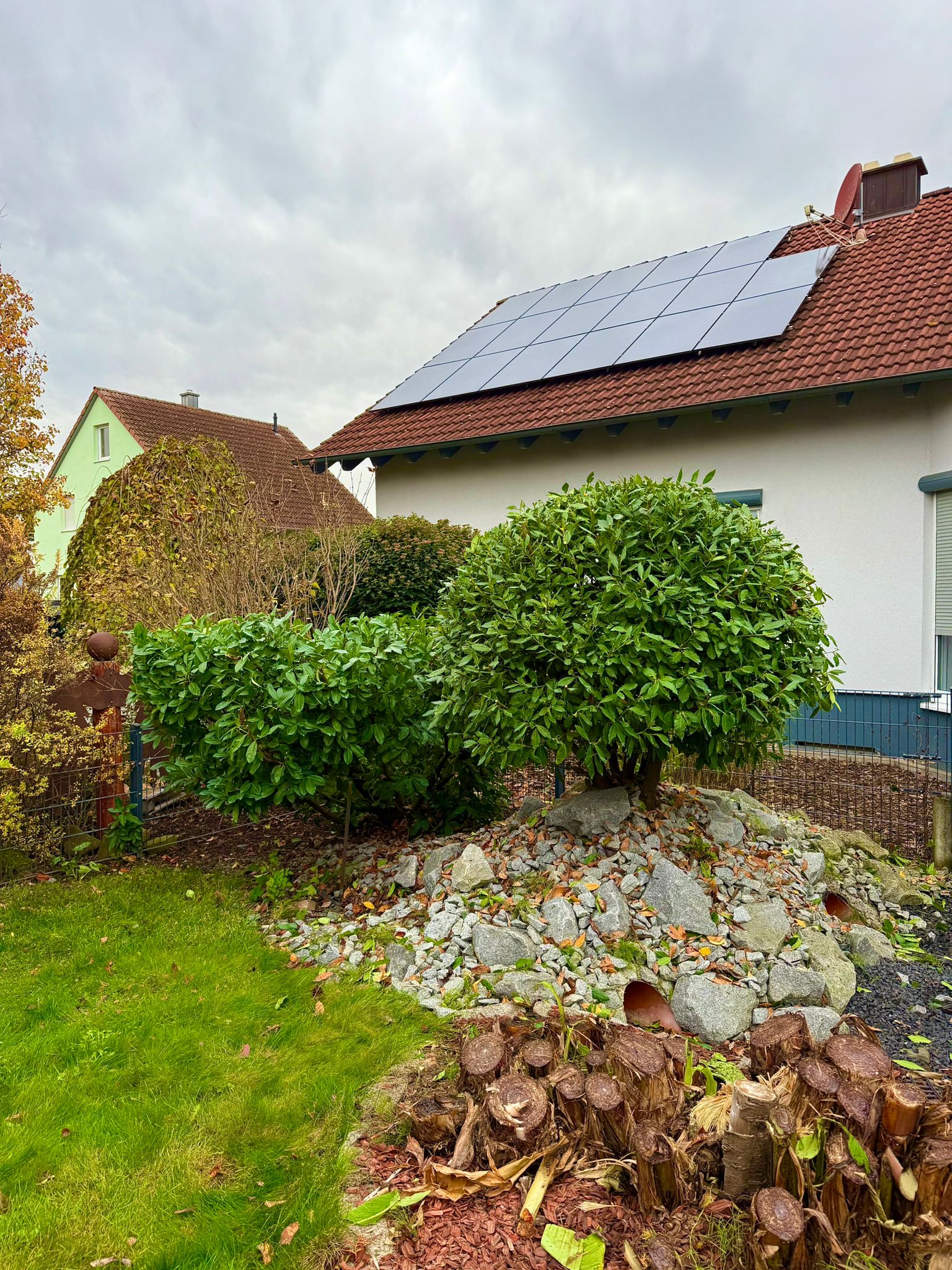 Dieselbe Hecke nach dem fachgerechten Rückschnitt, kompakt und in klarer Form